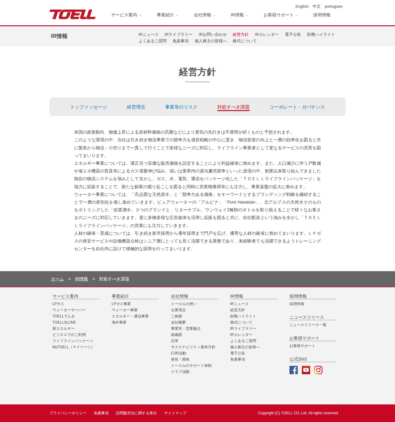 対処すべき課題 | 株式会社トーエル - Saved screenshot