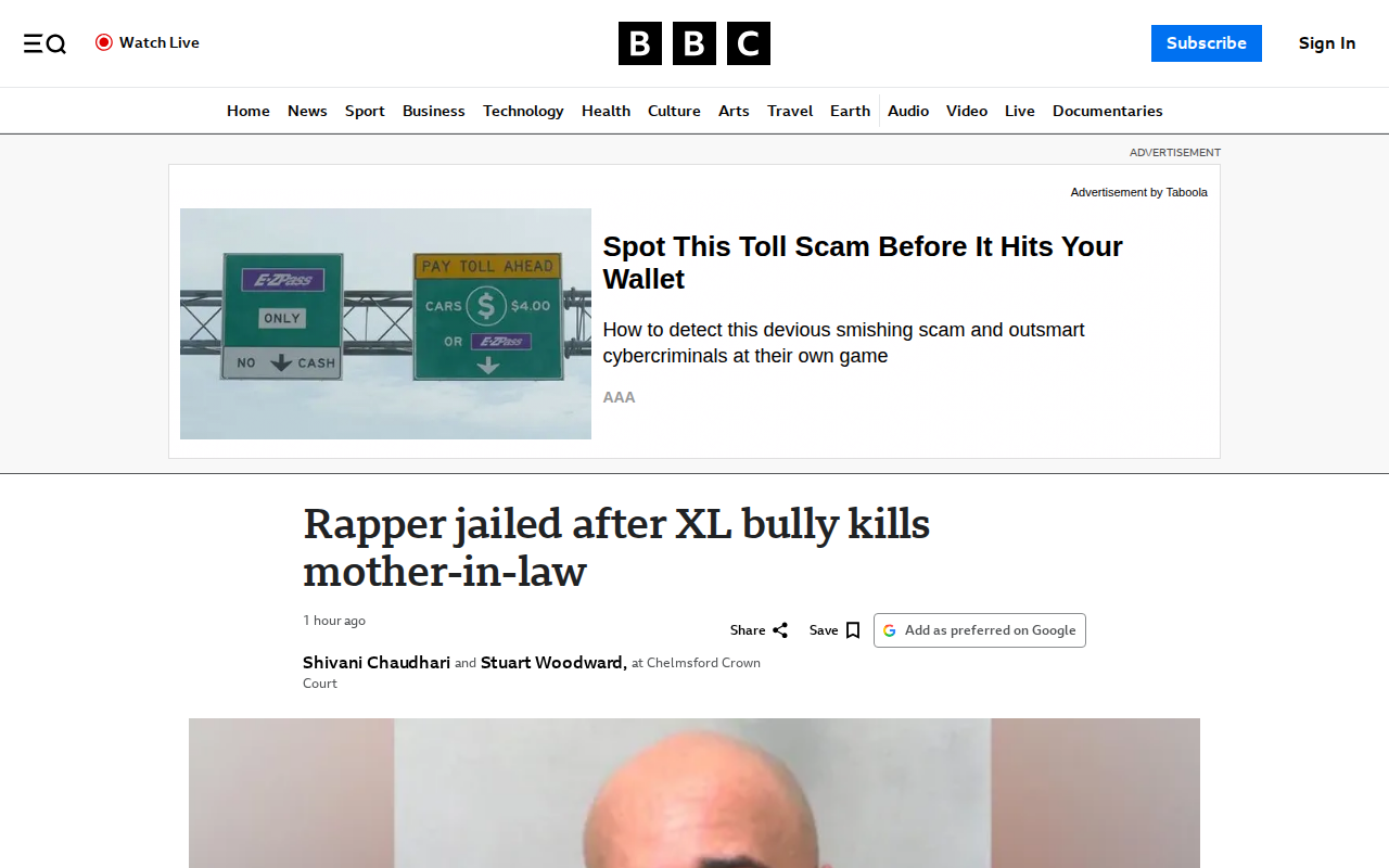 Jaywick XL bully owner jailed for fatal attack on mother-in-law - 保存されたスクリーンショット