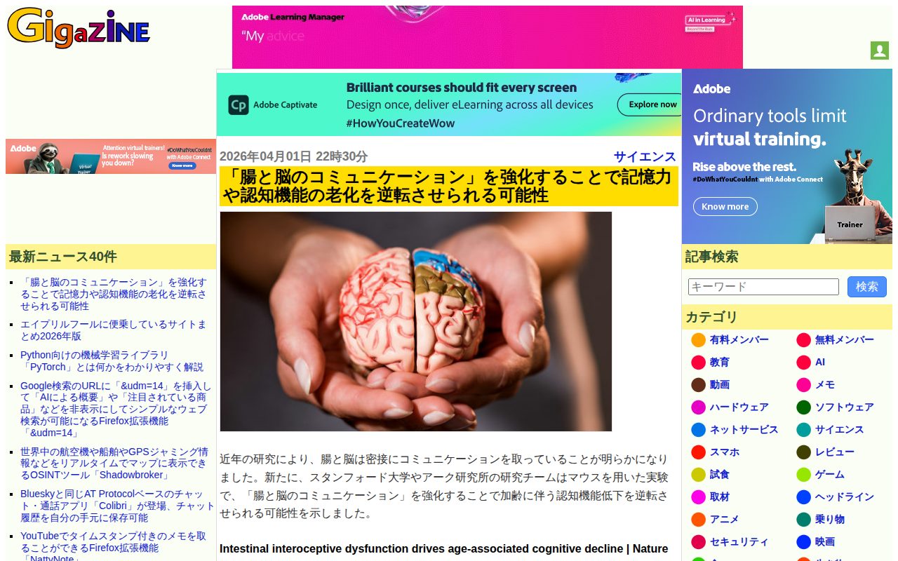 「腸と脳のコミュニケーション」を強化することで記憶力や認知機能の老化を逆転させられる可能性 - GIGAZINE - 保存されたスクリーンショット
