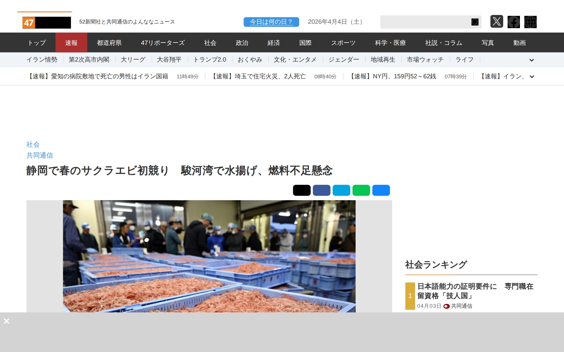 静岡で春のサクラエビ初競り 駿河湾で水揚げ、燃料不足懸念|47NEWS(よんななニュース) - 保存されたスクリーンショット