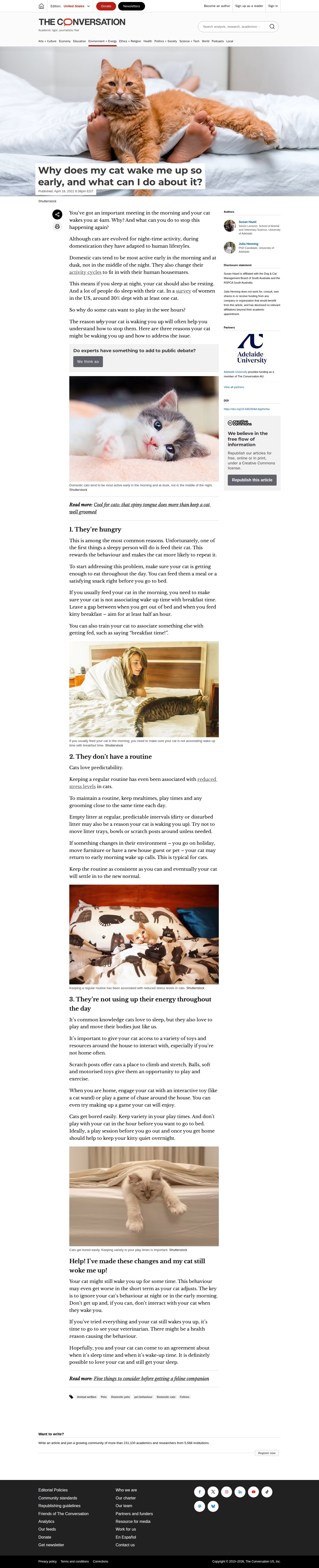 Why does my cat wake me up so early, and what can I do about it? - 保存されたスクリーンショット