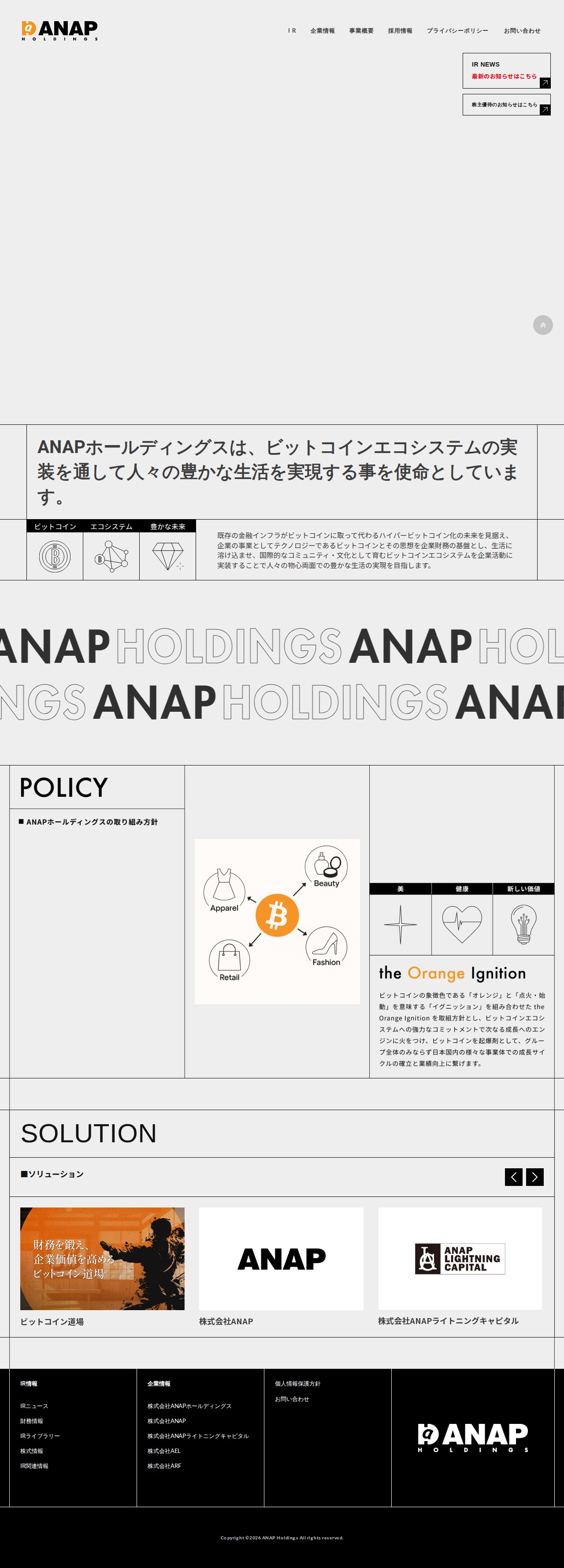 ANAP ホールディングス | ANAPホールディングス - 保存されたスクリーンショット
