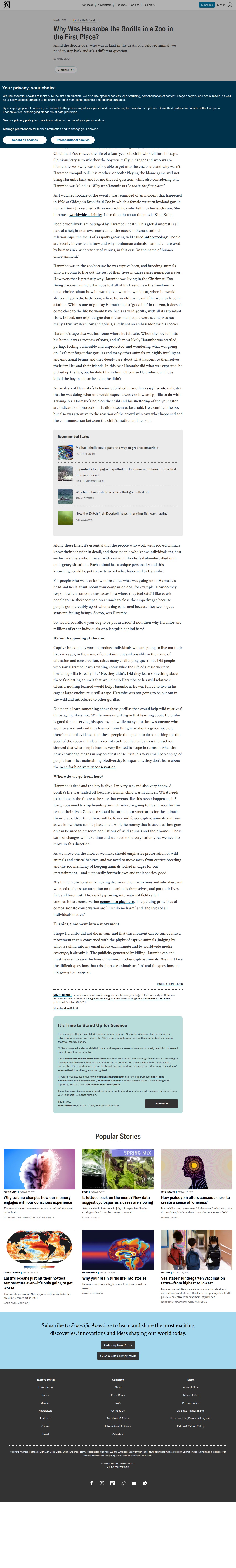 Why Was Harambe the Gorilla in a Zoo in the First Place? | Scientific American - 保存されたスクリーンショット