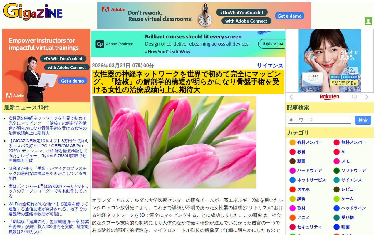女性器の神経ネットワークを世界で初めて完全にマッピング、「陰核」の解剖学的構造が明らかになり骨盤手術を受ける女性の治療成績向上に期待大 - GIGAZINE - 保存されたスクリーンショット