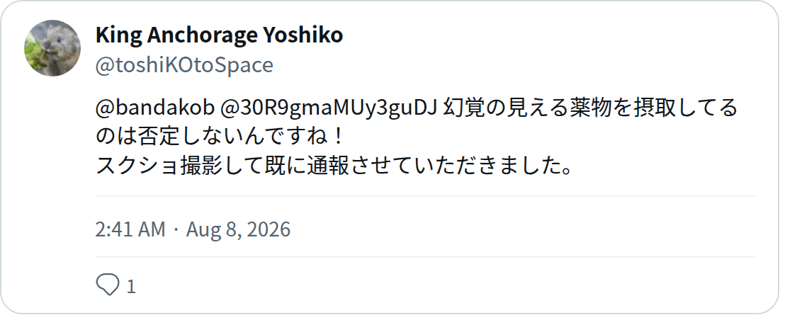 King Anchorage Yoshiko (@toshiKOtoSpace) - Saved screenshot