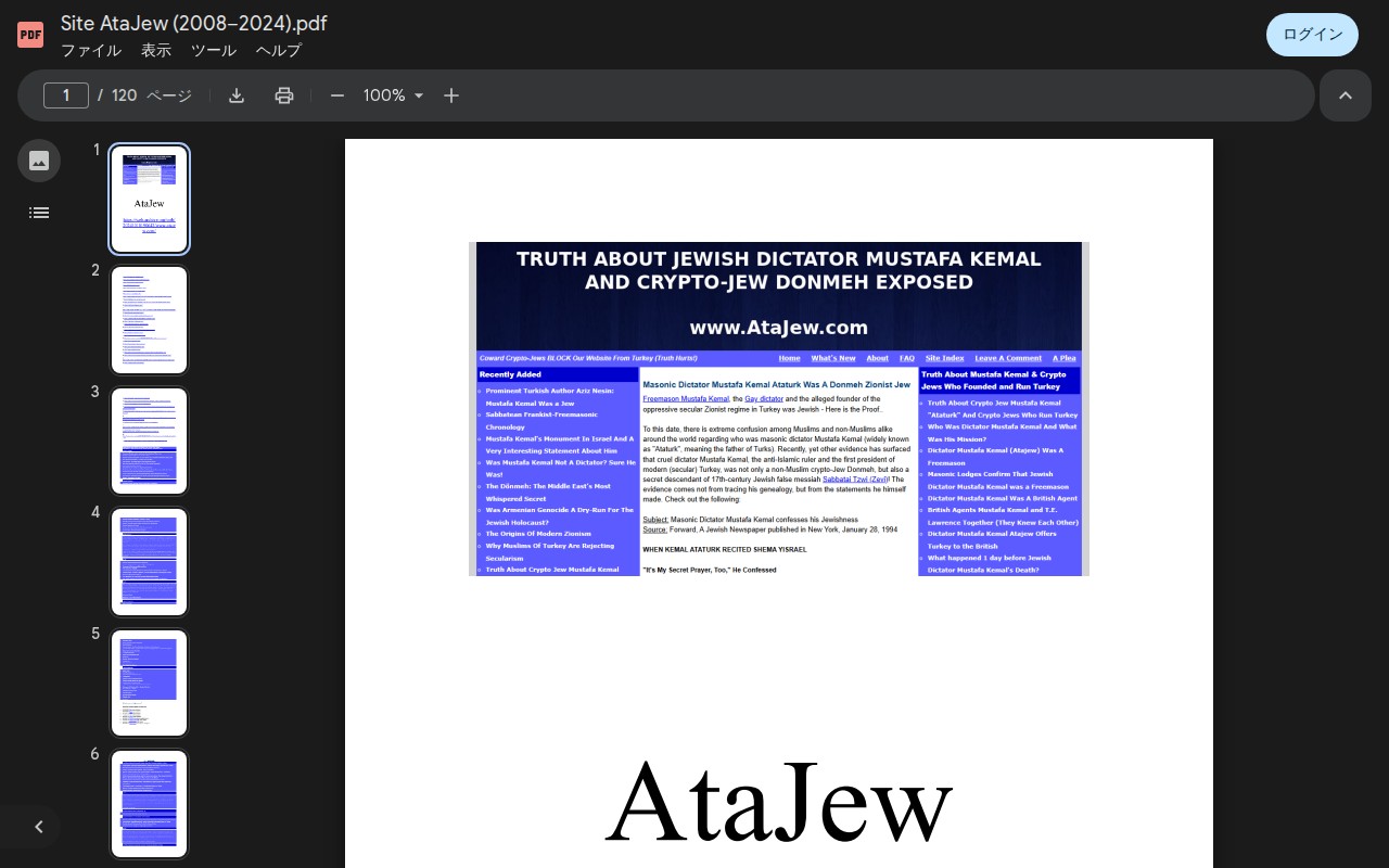 Site AtaJew (2008–2024).pdf - Google ドライブ - Saved screenshot
